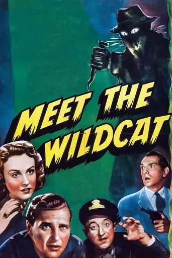 meet-the-wildcat-1940