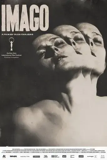 imago-2024