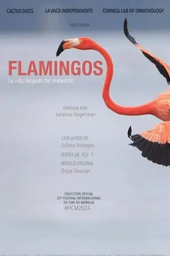 pink-flamingos-prada-2024