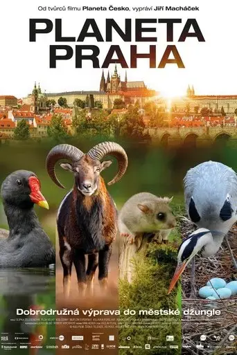 wild-prague-2022