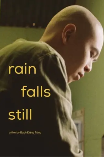 rain-falls-still-2025