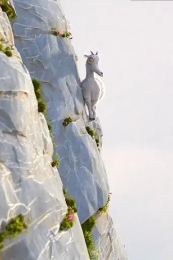 la-legende-de-la-chevre-qui-connaissait-le-vrai-sens-de-la-montagne-2017