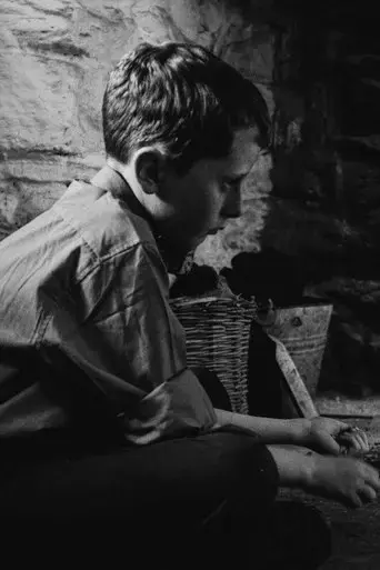 the-welfare-of-tomas-o-hallissy-2017
