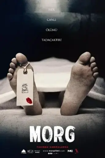 morg-2017