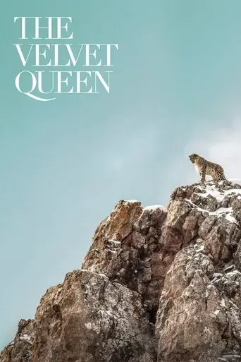the-velvet-queen-2021