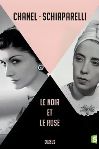 coco-chanel-et-elsa-schiaparelli-le-noir-et-le-rose-2014