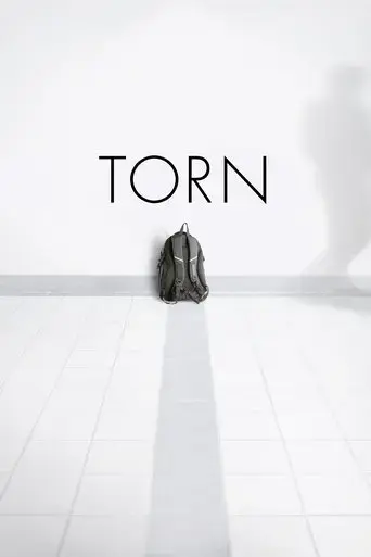 torn-2013