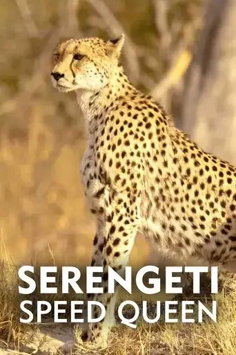 serengeti-speed-queen-2020