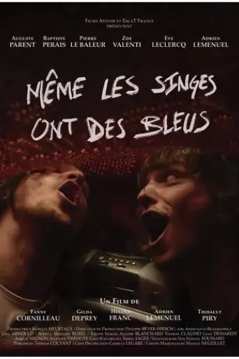 meme-les-singes-ont-des-bleus-2024