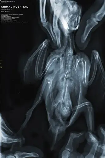 animal-hospital-the-big-story-2023
