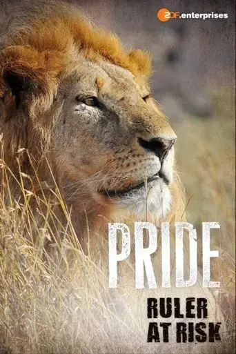 pride-ruler-s-at-risk-2016