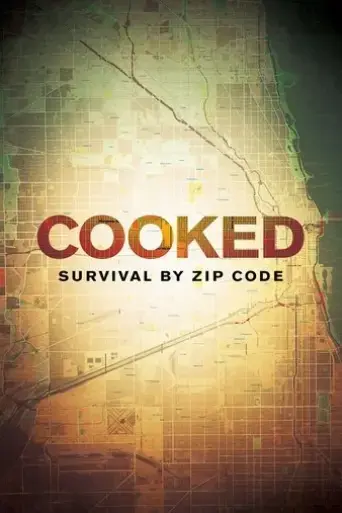 cooked-survival-by-zip-code-2019