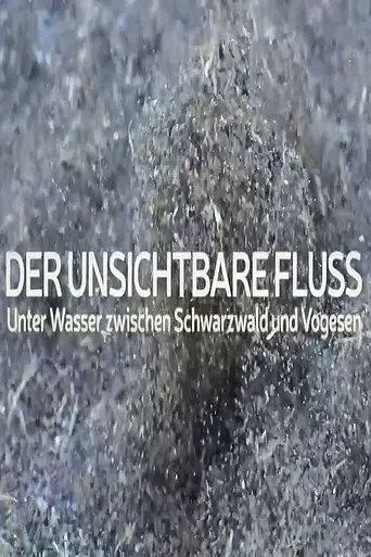 der-unsichtbare-fluss-unter-wasser-zwischen-schwarzwald-und-vogesen-2019