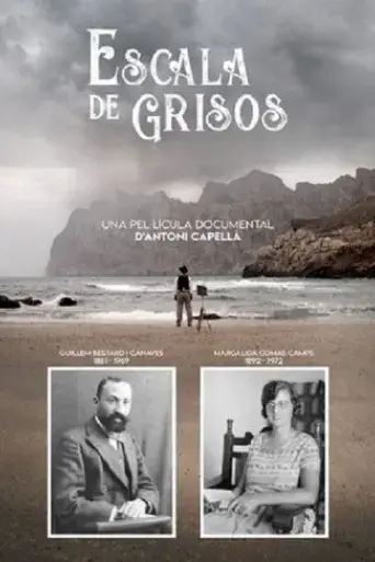 escala-de-grisos-2021