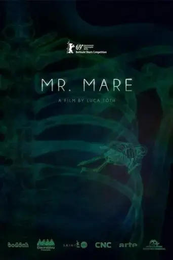 mr-mare-2019