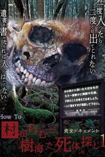 kanzen-document-how-to-murata-ramu-to-jukai-de-shitai-sagashi-1-2019