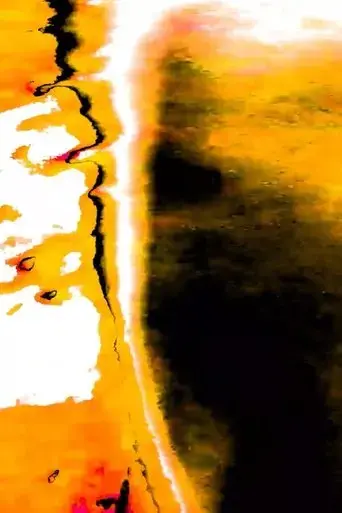 pulmao-vagalume-2024