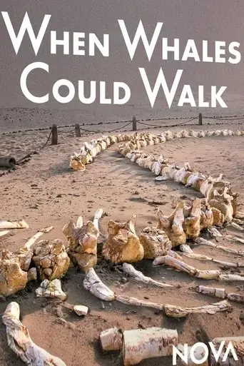 when-whales-could-walk-2024