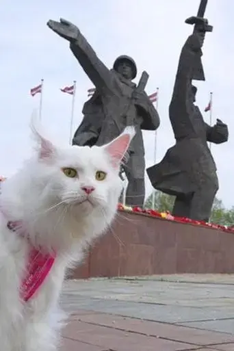 cats-in-riga-2015