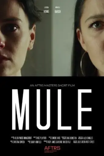 mule-2022