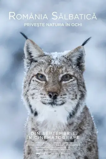 wild-romania-2021