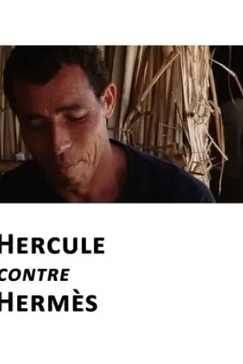 hercules-versus-hermes-2014