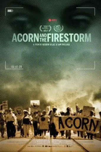 acorn-and-the-firestorm-2017