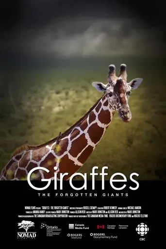 giraffes-the-forgotten-giants-2015