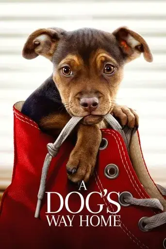 a-dog-s-way-home-2019