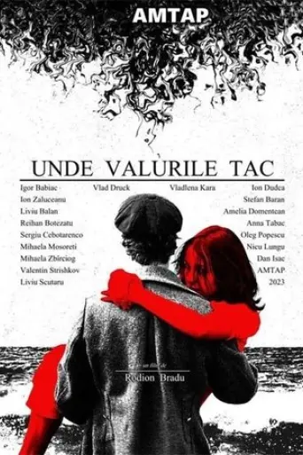 Unde Valurile Tac (2024)