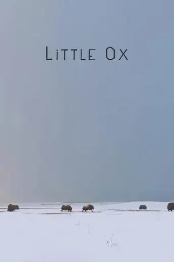 little-ox-2021