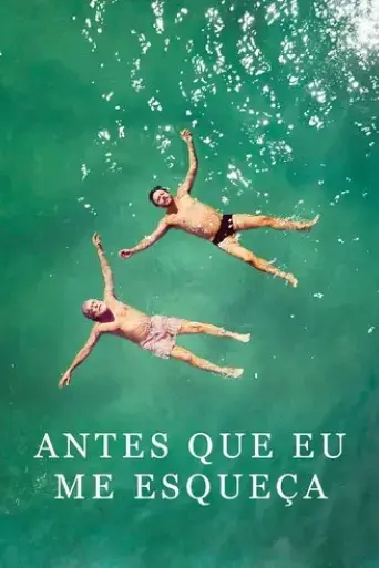 antes-que-eu-me-esqueca-2017