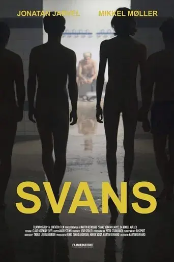 swans-2016