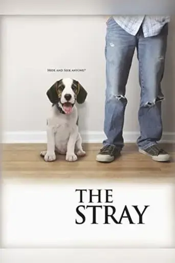 The Stray (2012) Poster