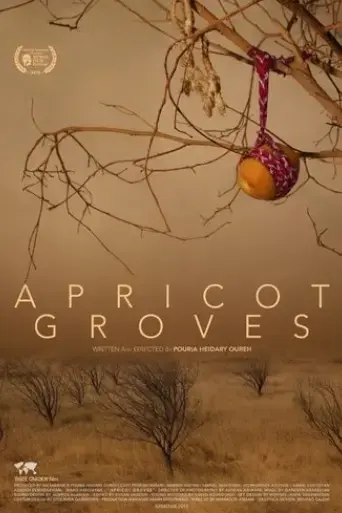 apricot-groves-2017