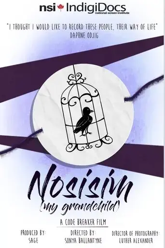 nosisim-2017