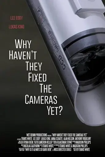 why-haven-t-they-fixed-the-cameras-yet-2020
