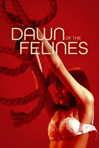 dawn-of-the-felines-2017
