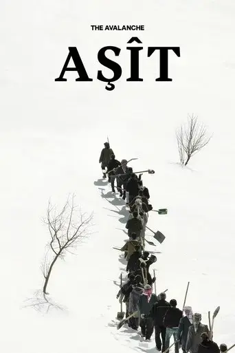 asit-2023