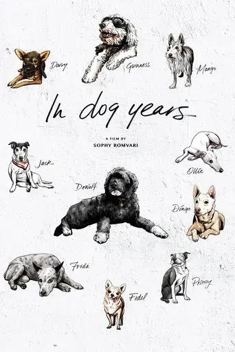 in-dog-years-2019