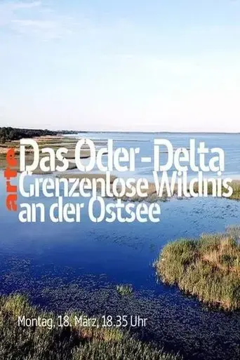 das-oder-delta-2019