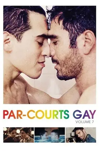 par-courts-gay-volume-7-2019