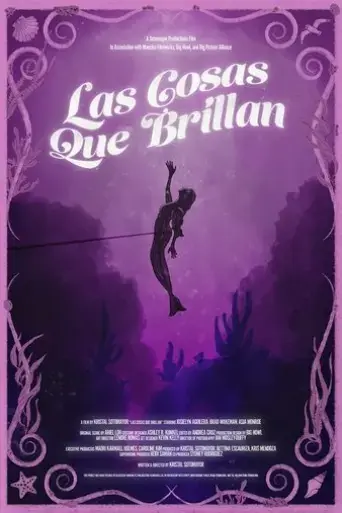 las-cosas-que-brillan-2025