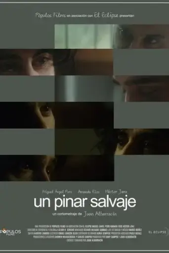 un-pinar-salvaje-2023