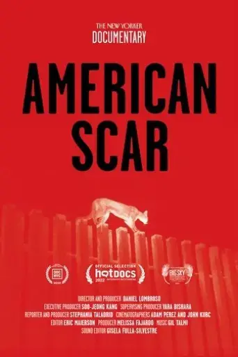 american-scar-2021