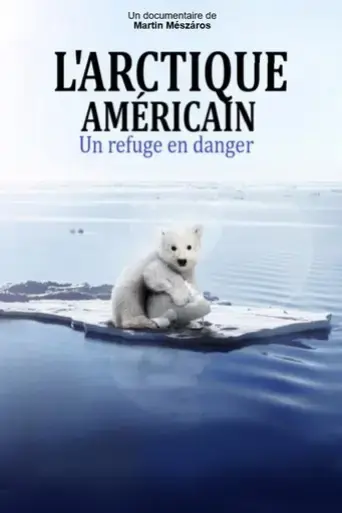arctic-drift-2020