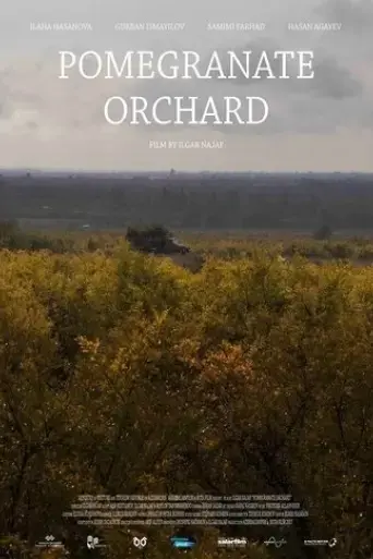 pomegranate-orchard-2017