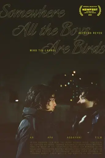 somewhere-all-the-boys-are-birds-2023