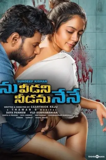 ninnu-veedani-needanu-nene-2019