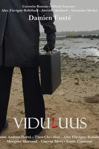 viduluus-2024